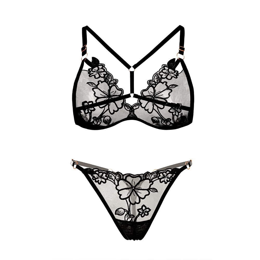 French Plus Size Lingerie Set with Embroidered Ultra-Thin Bra Y001